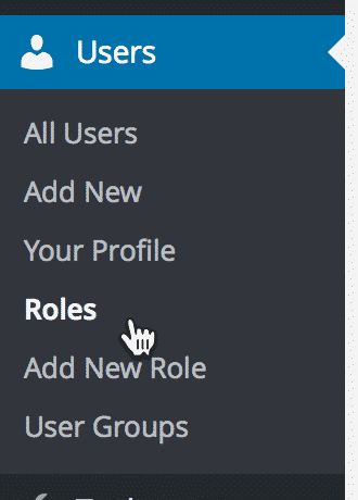 The Roles link underneath the Users manu item in WordPress